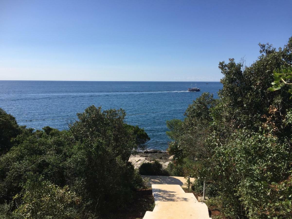 Apartment Balthazar Rovinj Kültér fotó